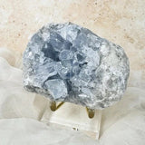 Esté Crystals crystal Pippa Celestite Cluster