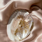 Esté Crystals crystal Shell Trinket Bowl