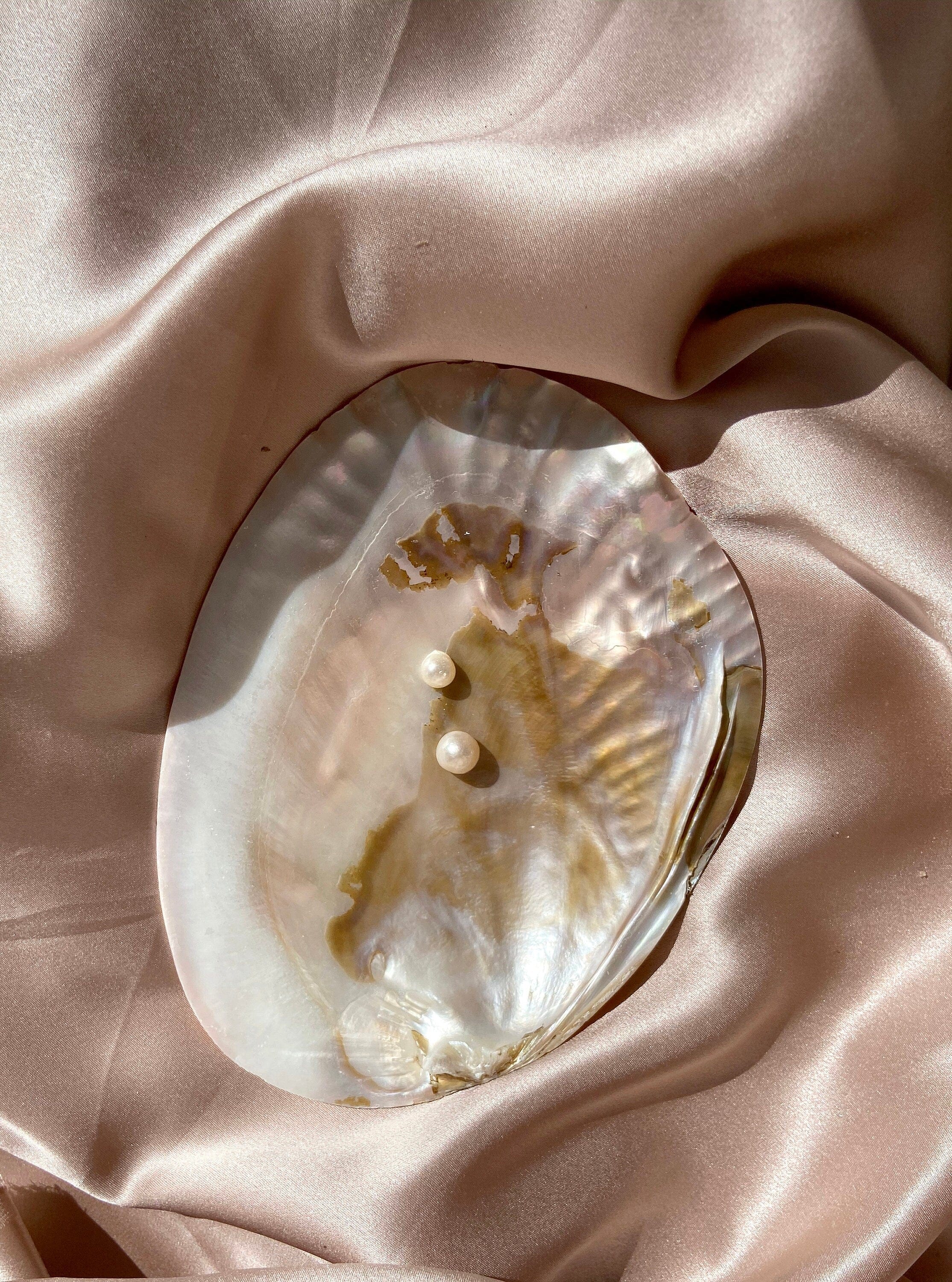 Esté Crystals crystal Shell Trinket Bowl