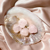 Esté Crystals crystal Shell Trinket Bowl