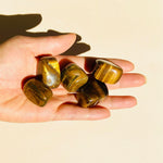 Esté Crystals crystal Tiger's Eye Polished Tumbled Stone