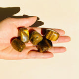Esté Crystals crystal Tiger's Eye Polished Tumbled Stone