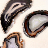 Mini Agate Slices