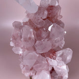 Statement Pink Himalayan