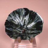 Seraphinite Slab
