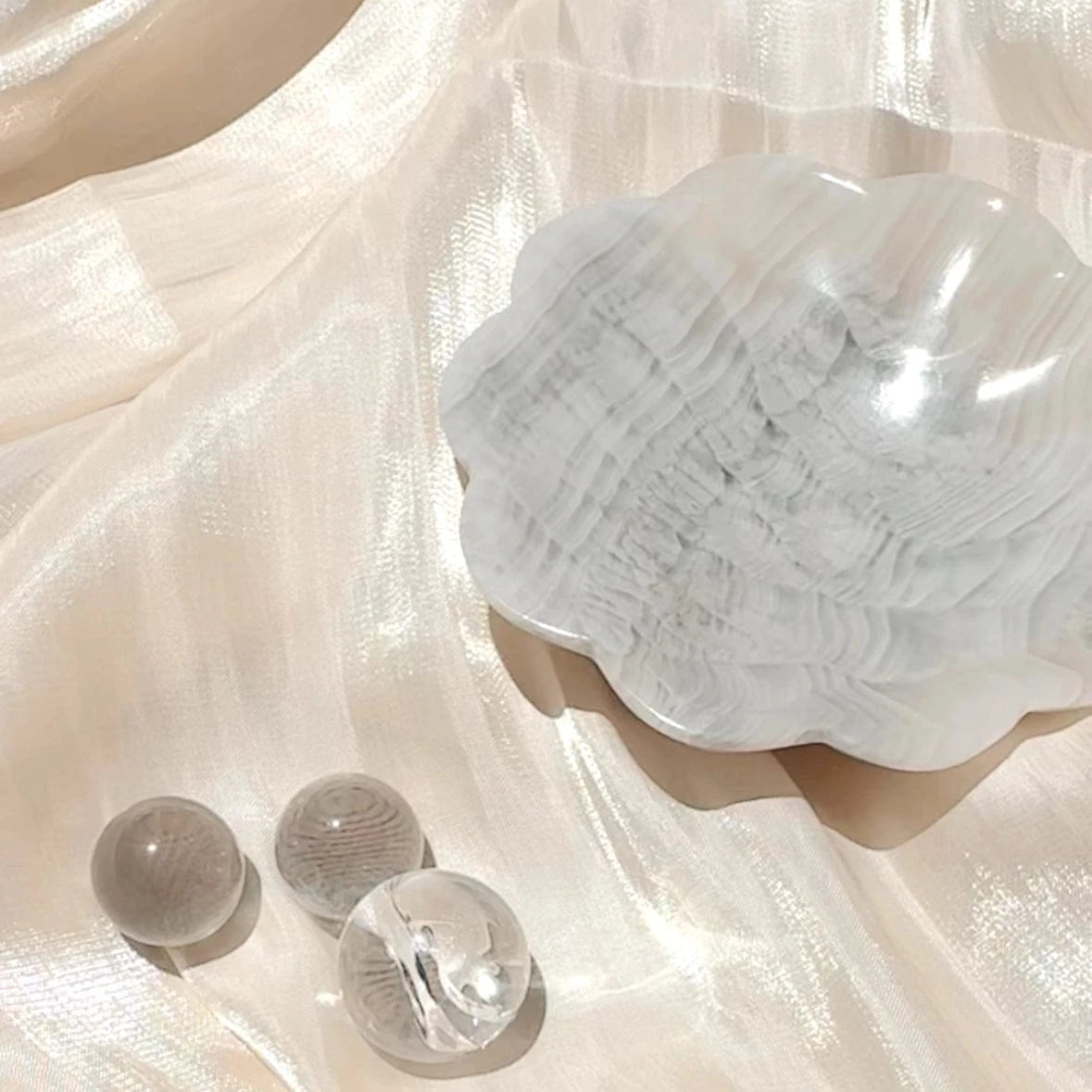 Esté Crystals crystal Abalone Scalloped Onyx Trinket Bowls