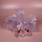 Esté Crystals crystal Amethyst Flower