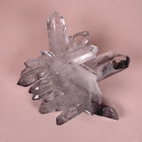 Esté Crystals crystal Black Lithium Flower Cluster