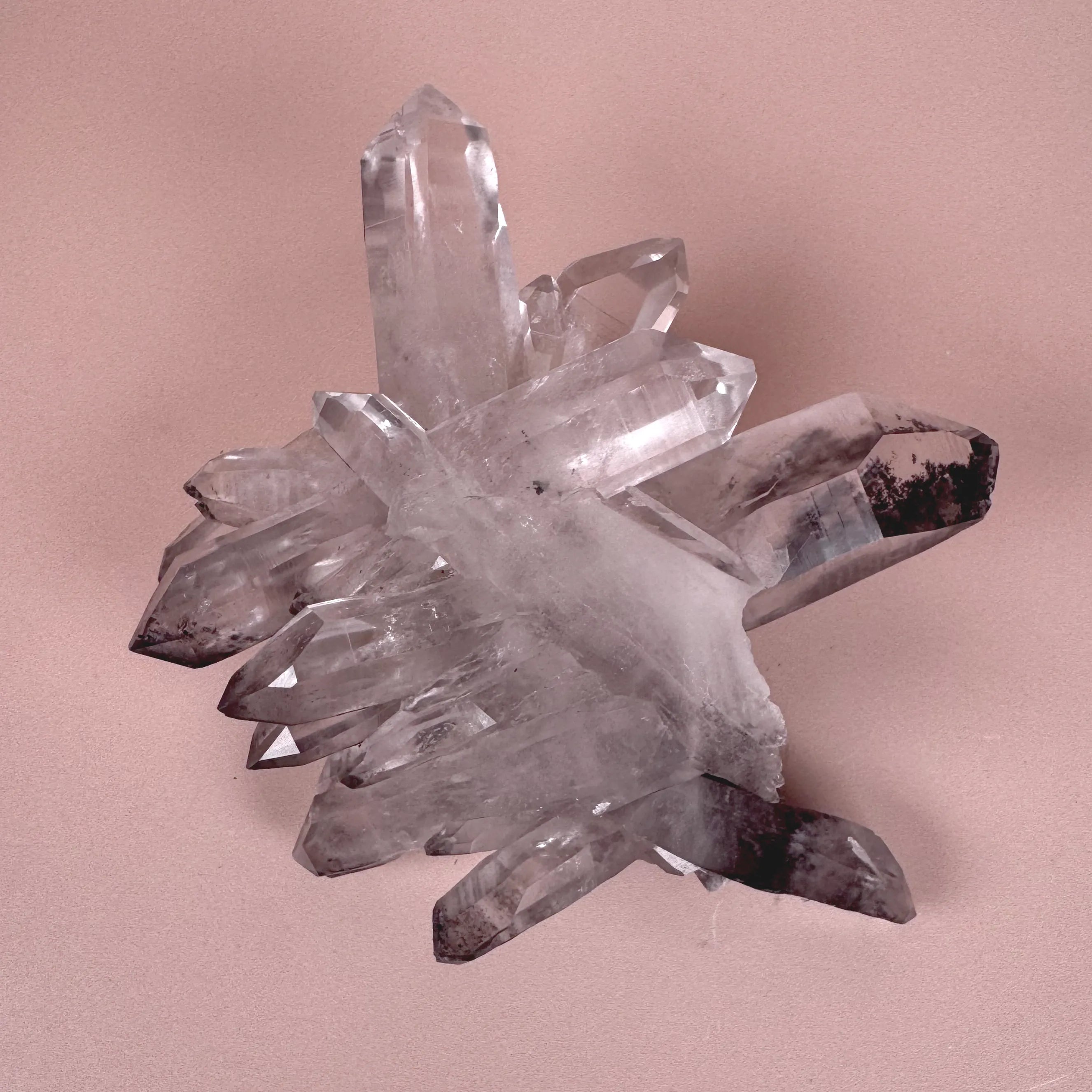 Esté Crystals crystal Black Lithium Flower Cluster