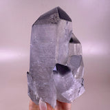 Esté Crystals crystal Black Phantom Cluster