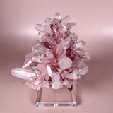 Esté Crystals crystal Bubble Gum Pink Himalayan
