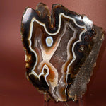Esté Crystals crystal Butterfly Agate Slab