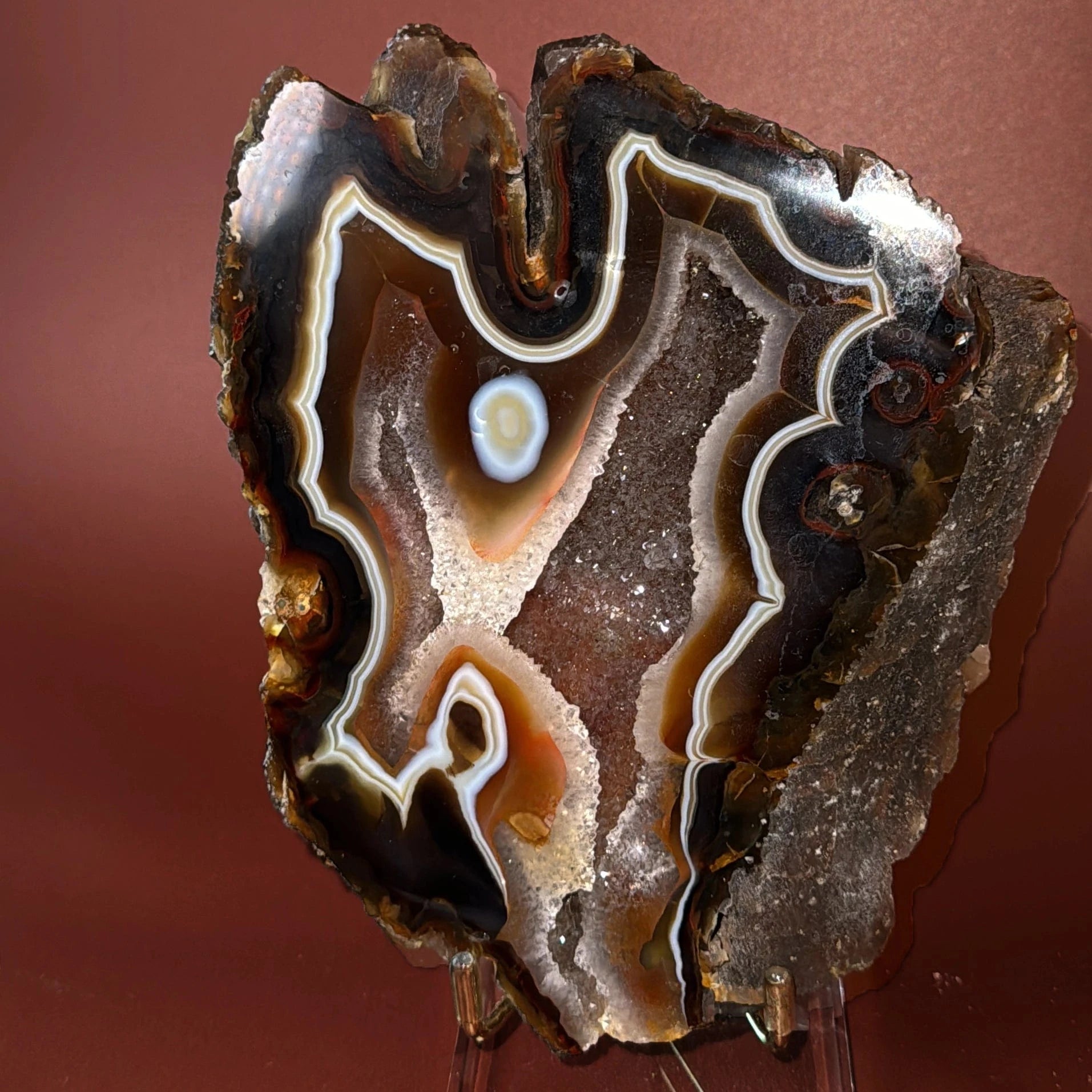 Esté Crystals crystal Butterfly Agate Slab