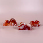 Esté Crystals crystal Carnelian Flower Agate Clouds