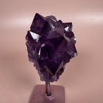 Esté Crystals crystal Dahlia Amethyst on Stand