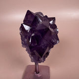 Esté Crystals crystal Dahlia Amethyst on Stand