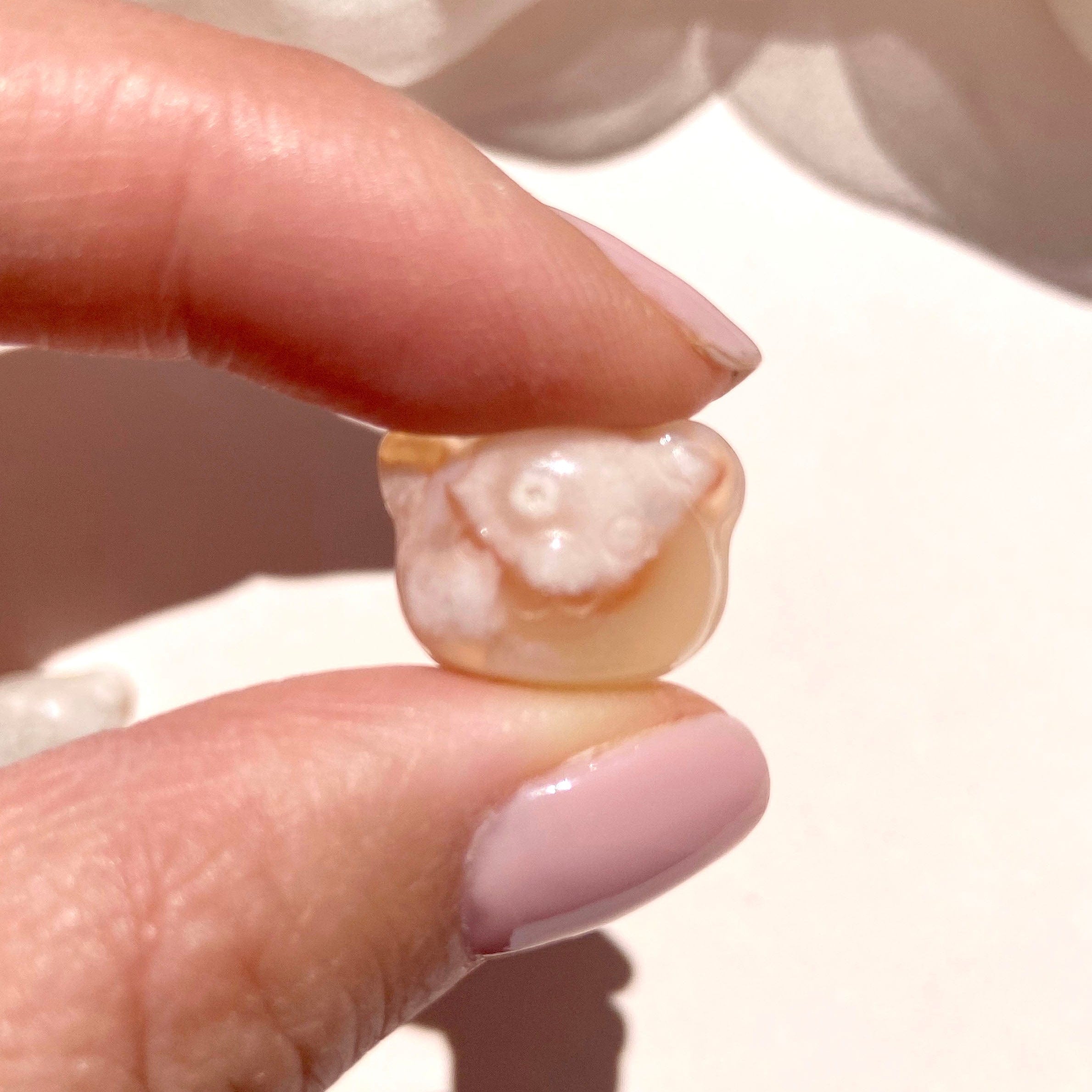 Esté Crystals crystal Flower Agate Mini Crystal Bear Faces
