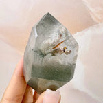 Esté Crystals crystal Forest Garden Quartz