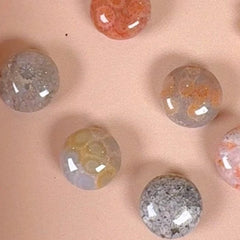 Esté Crystals crystal Fossilized Coral Minis
