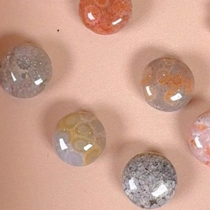 Esté Crystals crystal Fossilized Coral Minis