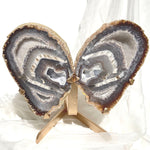 Esté Crystals crystal Large Agate Butterfly Wings
