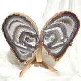 Esté Crystals crystal Large Agate Butterfly Wings