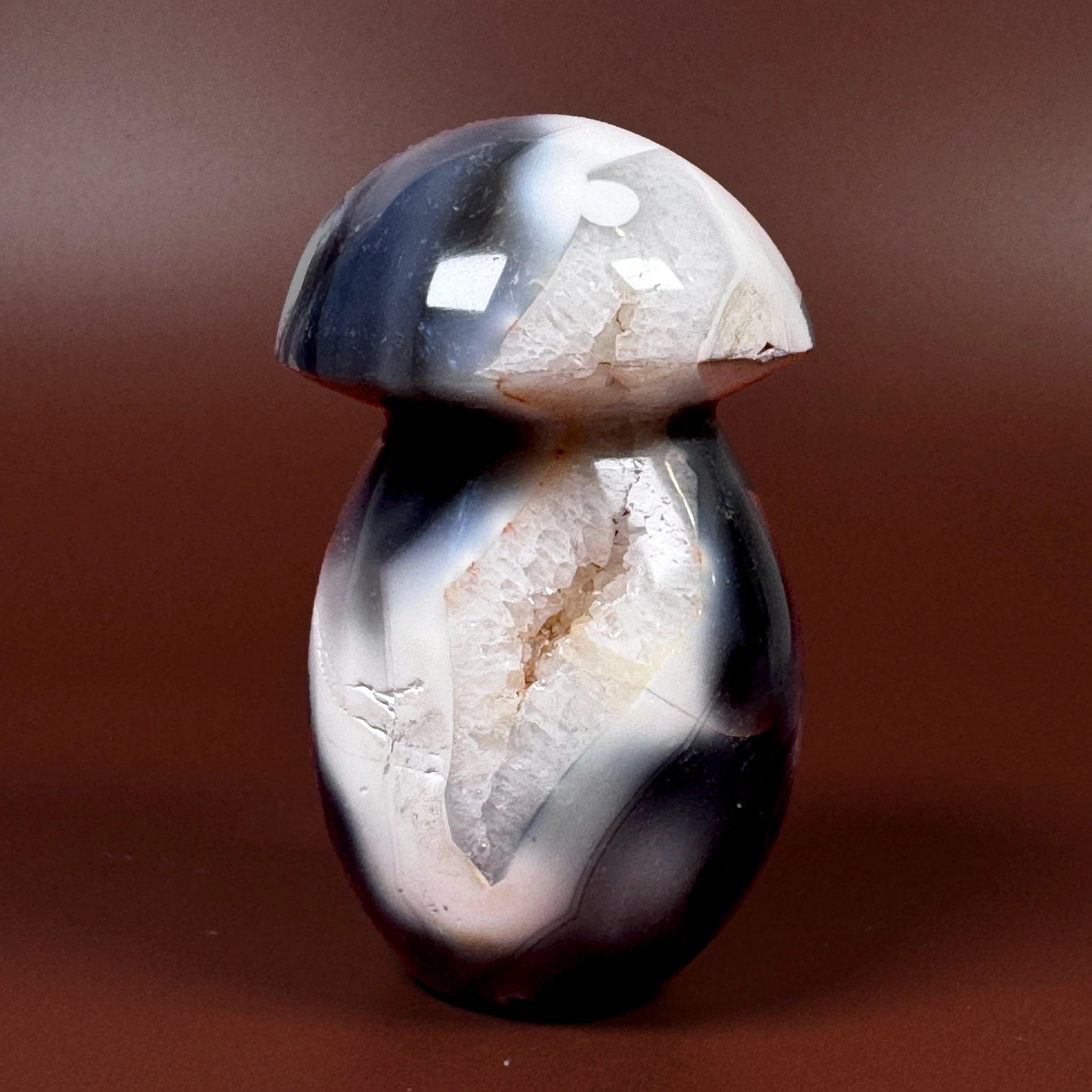 Esté Crystals crystal Large Orca Agate Druzy Mushroom