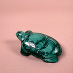 Esté Crystals crystal Malachite Turtle