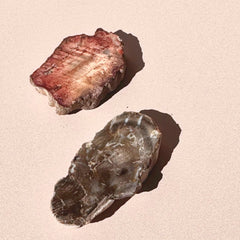 Esté Crystals crystal Mini Petrified Wood Slabs