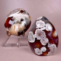 Esté Crystals crystal Moody Carnelian Flower Agate Freeform & Large Carnelian Orca Palm