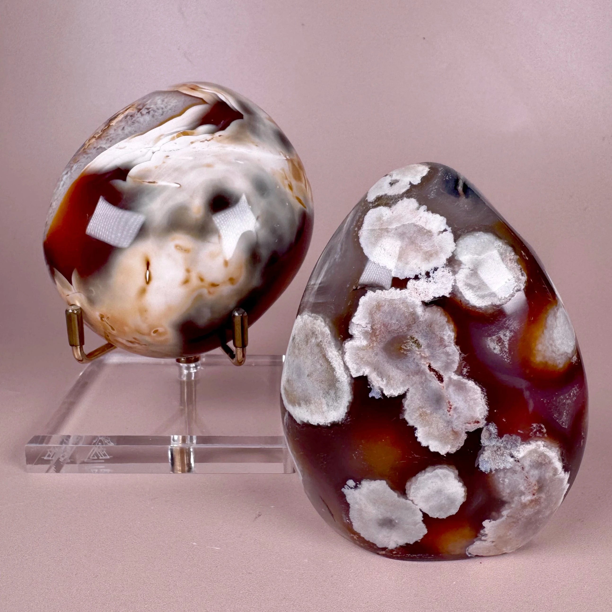 Esté Crystals crystal Moody Carnelian Flower Agate Freeform & Large Carnelian Orca Palm