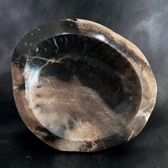 Esté Crystals crystal Petrified Wood Bowl