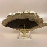 Esté Crystals crystal Petrified Wood Jordan Slab