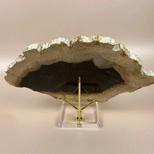Esté Crystals crystal Petrified Wood Jordan Slab