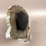 Esté Crystals crystal Petrified Wood Jordan Slab
