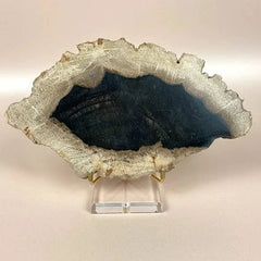 Esté Crystals crystal Petrified Wood Jordan Slab