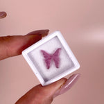 Esté Crystals crystal Pink Tourmaline Mini Butterfly in Case