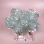 Esté Crystals crystal Rare Green Apophyllite Flower