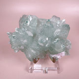 Esté Crystals crystal Rare Green Apophyllite Flower