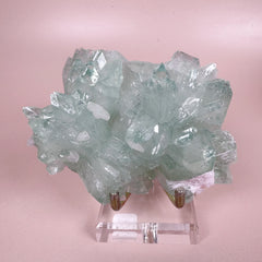 Esté Crystals crystal Rare Green Apophyllite Flower