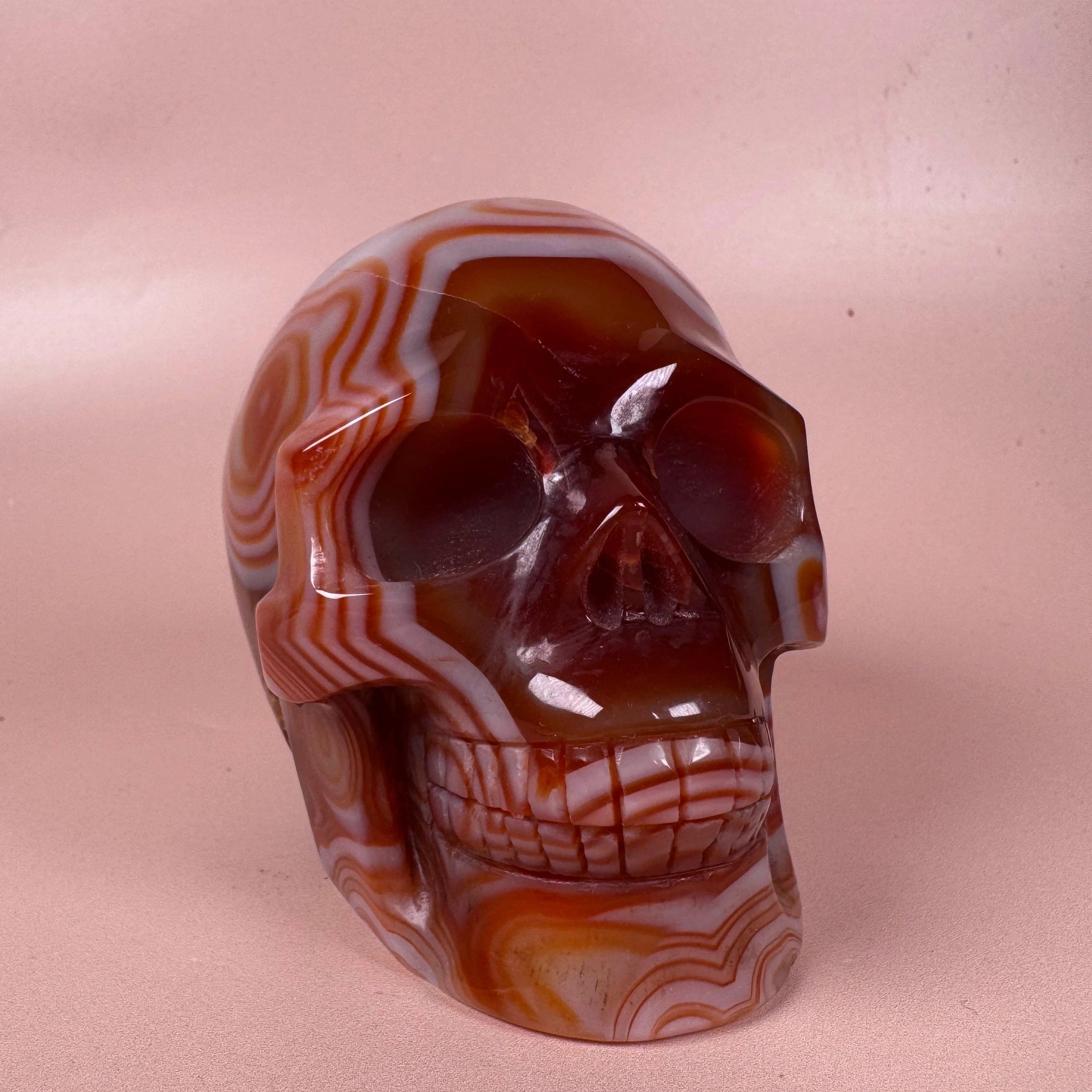 Esté Crystals crystal Sardonyx Skull