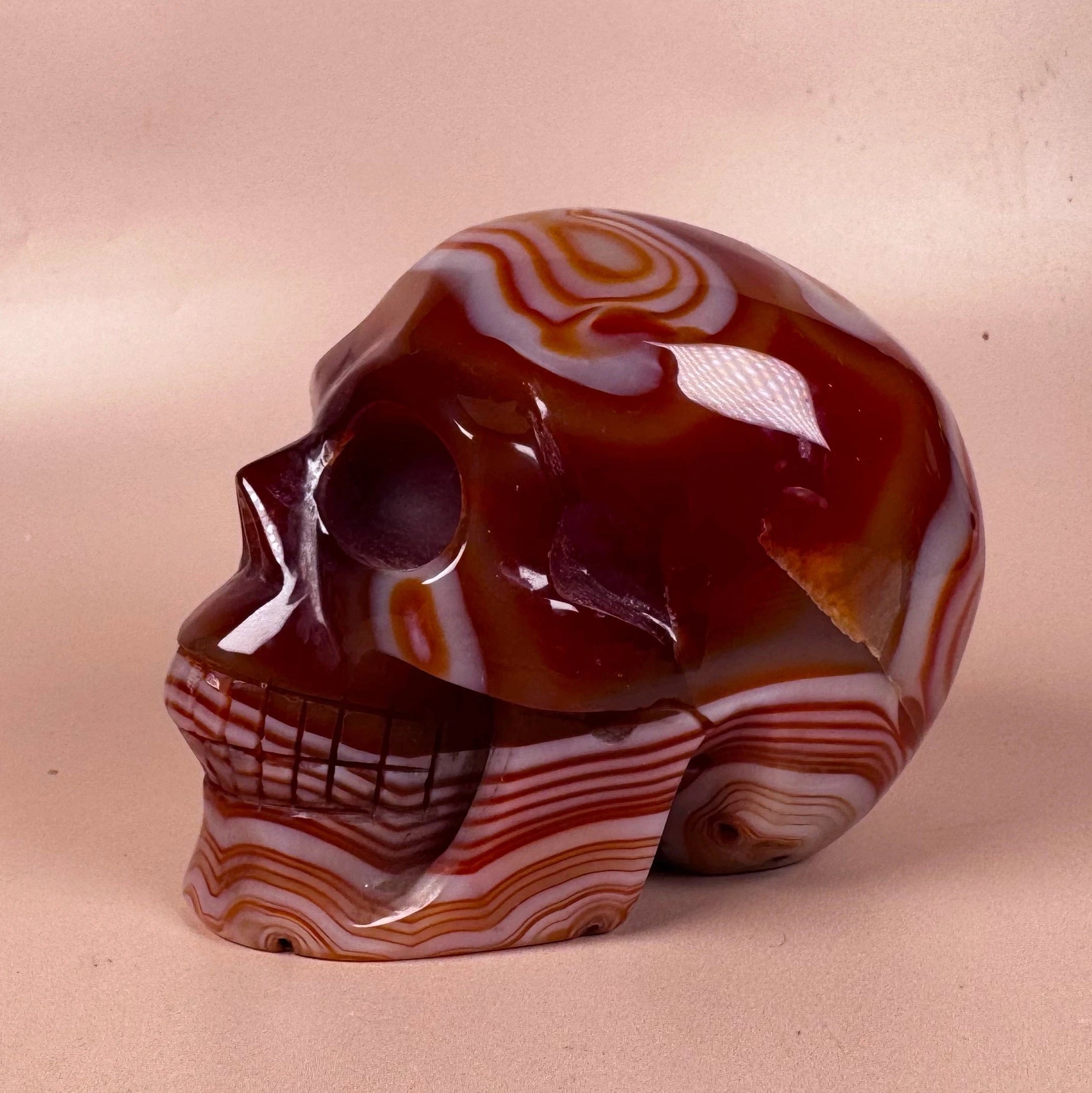 Esté Crystals crystal Sardonyx Skull