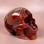 Esté Crystals crystal Sardonyx Skull