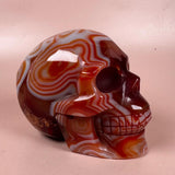 Esté Crystals crystal Sardonyx Skull