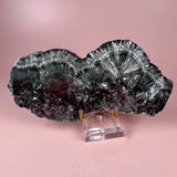 Esté Crystals crystal Seraphinite Slab