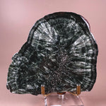 Esté Crystals crystal Seraphinite Slab