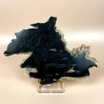 Esté Crystals crystal Sirius Petrified Wood Slab