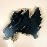 Esté Crystals crystal Sirius Petrified Wood Slab