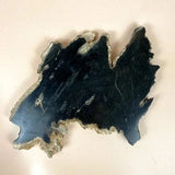 Esté Crystals crystal Sirius Petrified Wood Slab