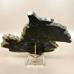 Esté Crystals crystal Sirius Petrified Wood Slab